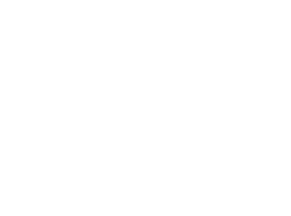 Logo Immo Selection in weiss Weiss